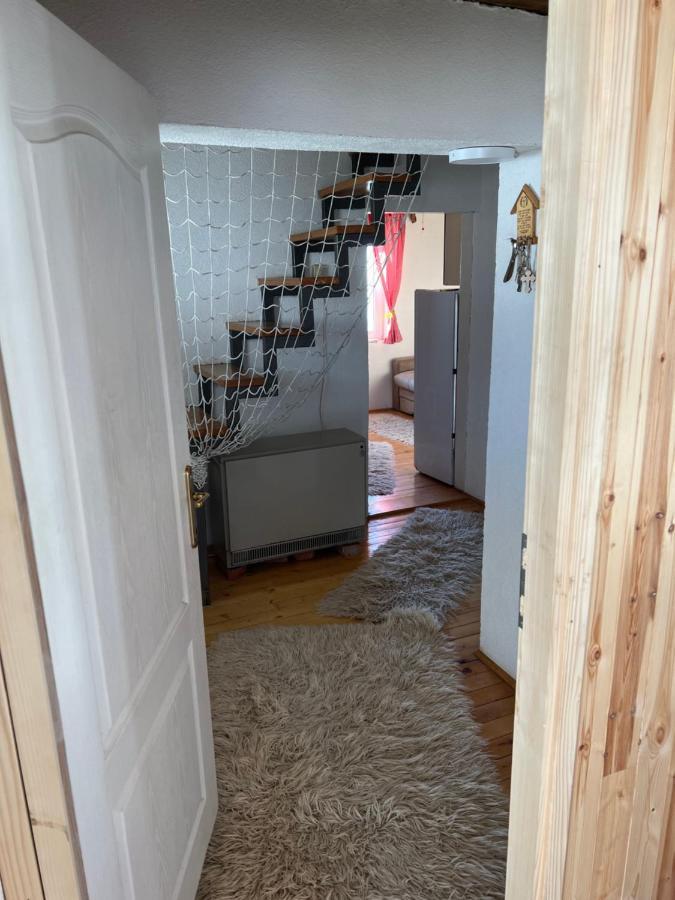 Kuca Miladinovic Villa Kopaonik Exteriör bild