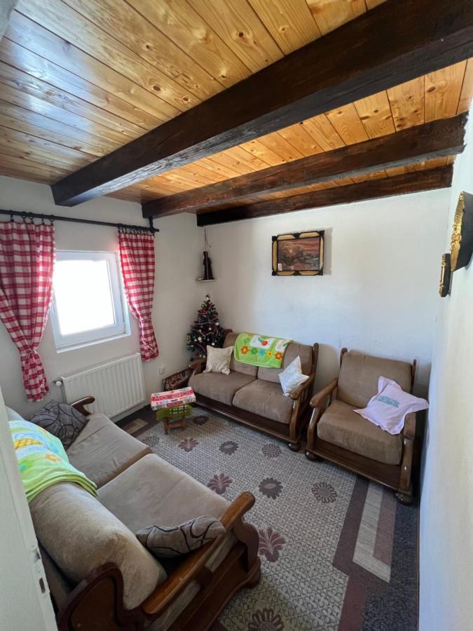 Kuca Miladinovic Villa Kopaonik Exteriör bild